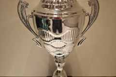 DM-klubpokal